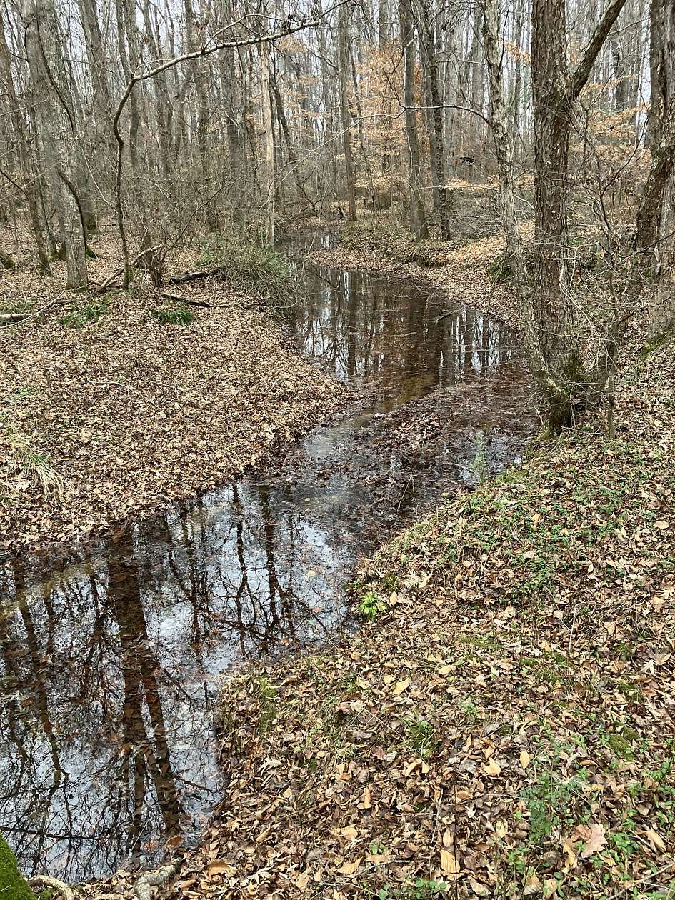 32 Acres of Land for Sale in Manchester, Tennessee