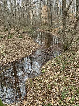 32 Acres of Land for Sale in Manchester, Tennessee