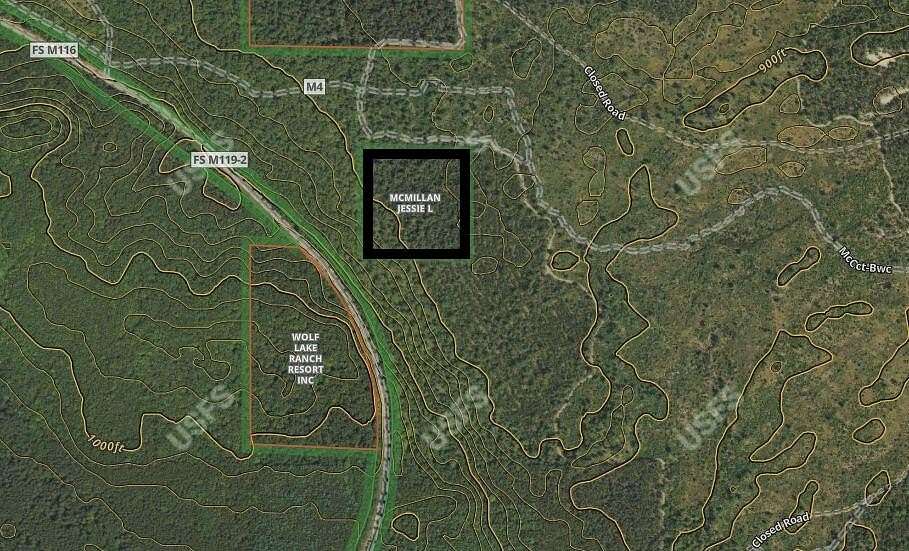 10 Acres of Recreational Land for Sale in Baldwin, Michigan