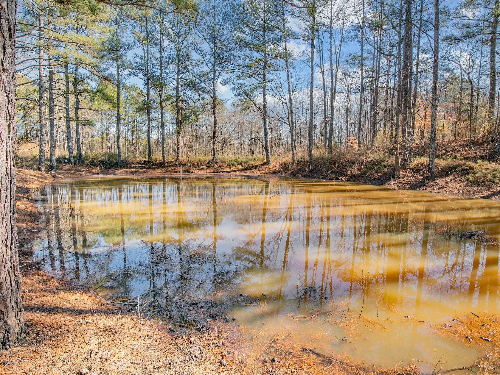 4 Acres of Residential Land for Sale in Buchanan, Georgia