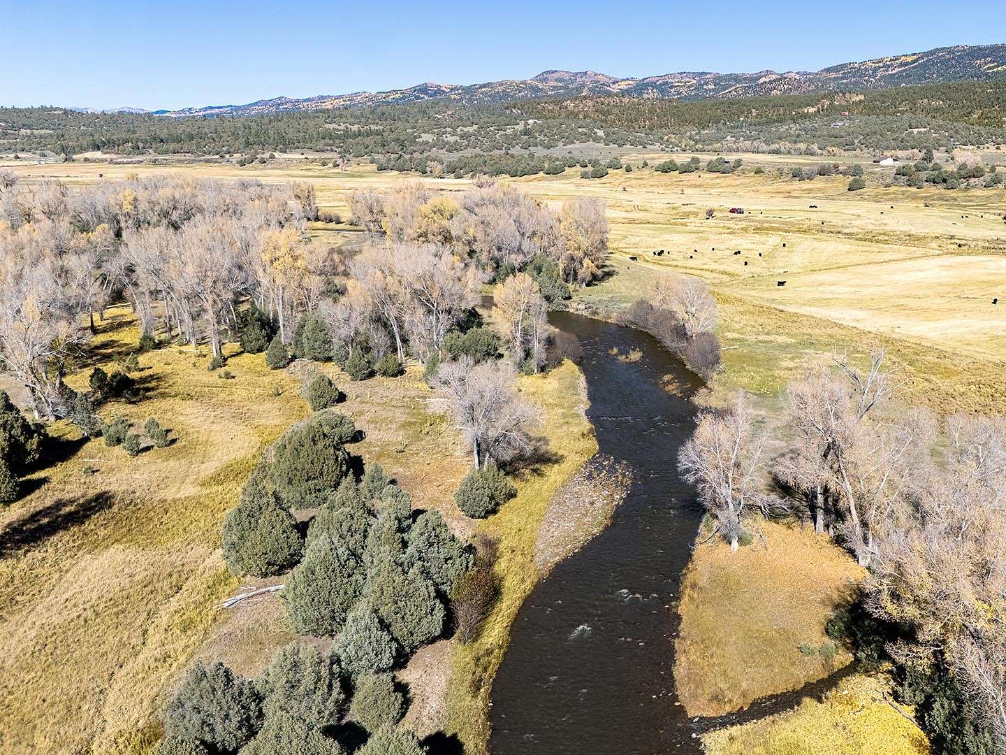 440 Acres of Recreational Land & Farm for Sale in Tierra Amarilla, New Mexico