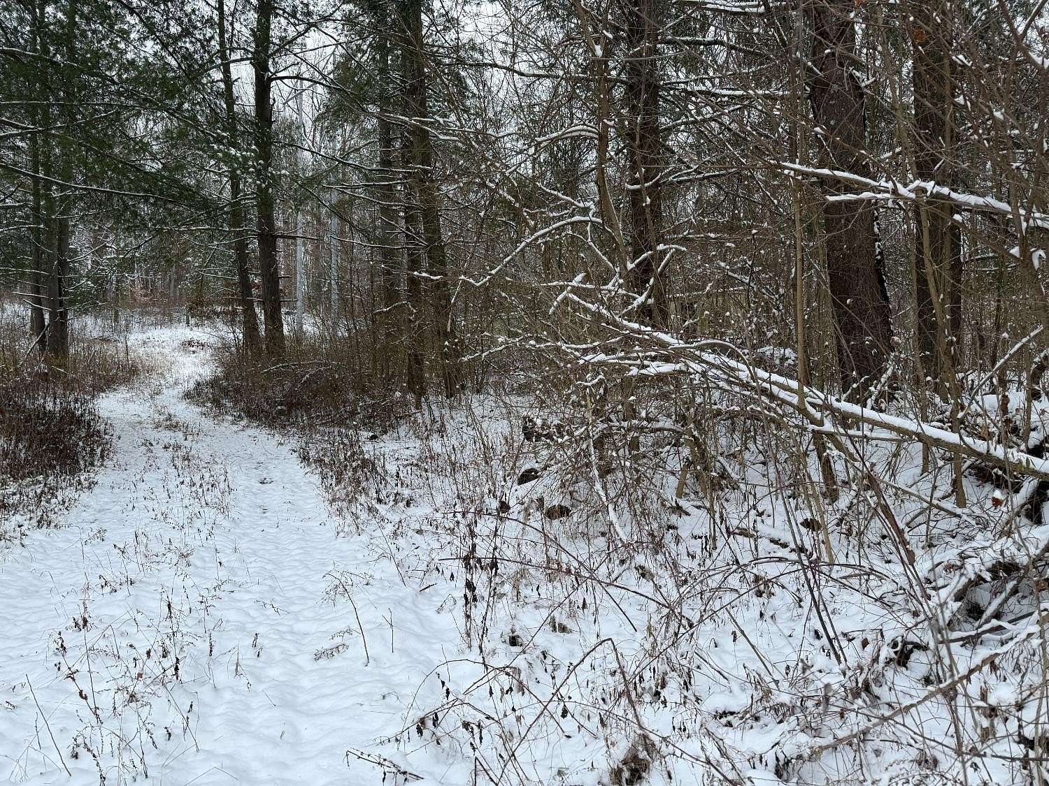 4.82 Acres of Residential Land for Sale in Osgood, Indiana