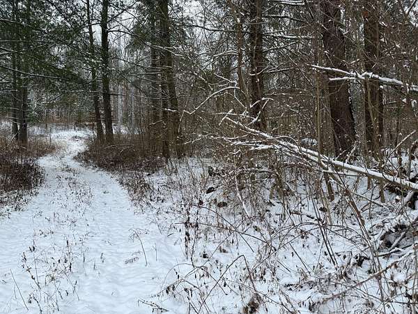 4.82 Acres of Residential Land for Sale in Osgood, Indiana