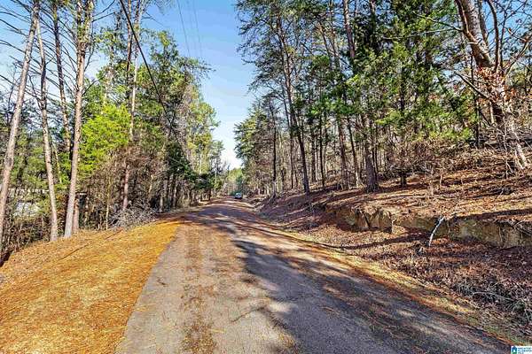 9.3 Acres of Residential Land for Sale in Pinson, Alabama