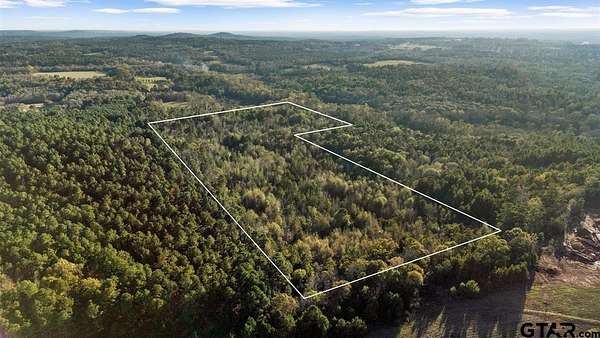 33.8 Acres of Recreational Land for Sale in Jacksonville, Texas