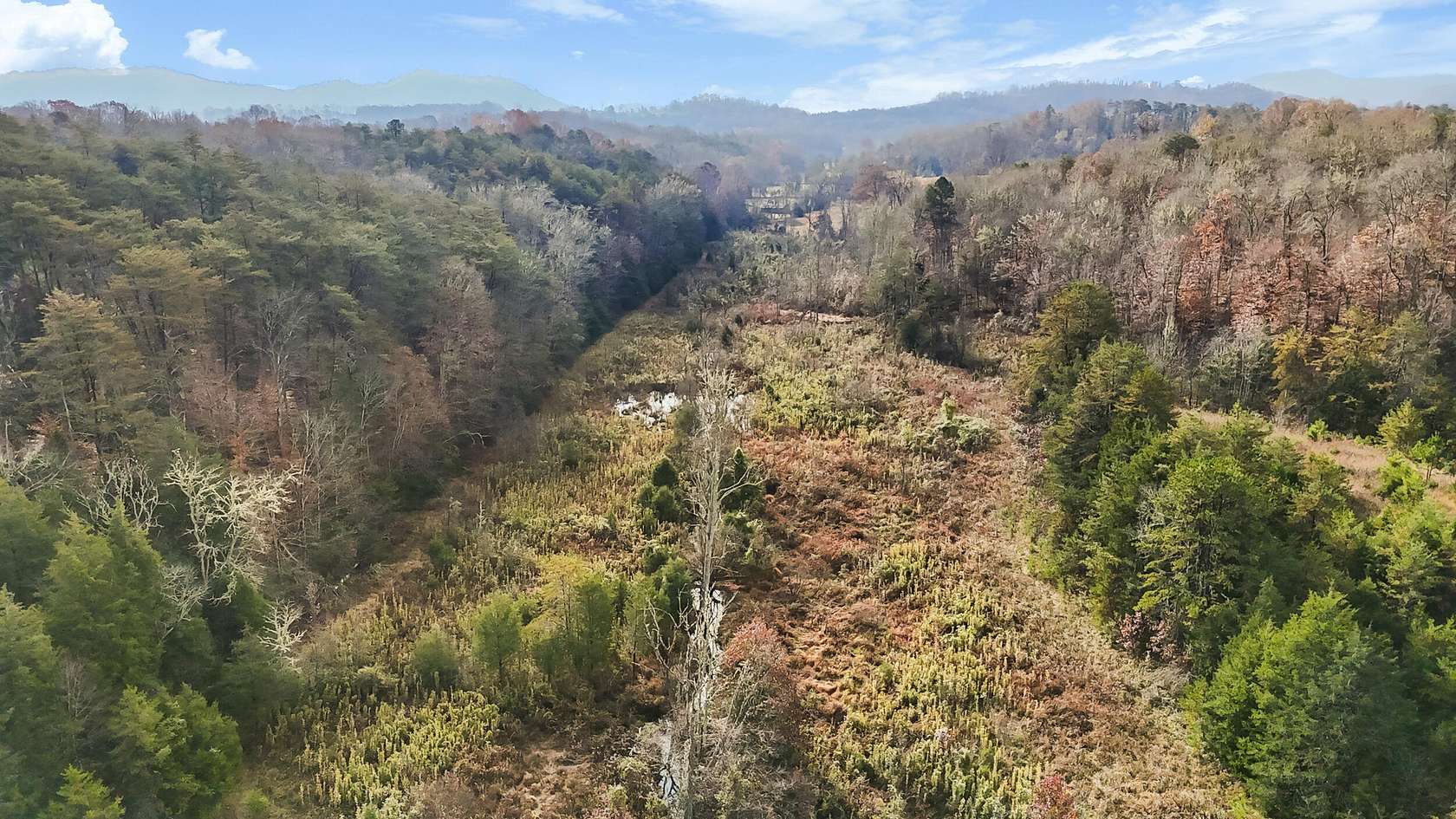 20 Acres of Agricultural & Residential Land for Sale in Rogersville, Tennessee
