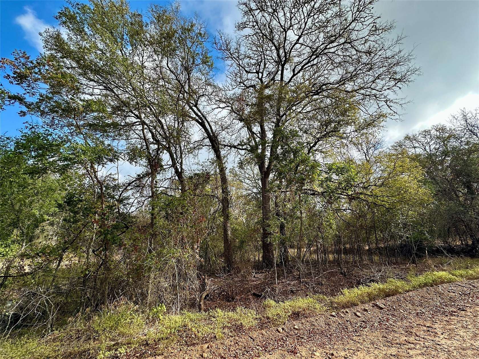0.27 Acres of Land for Sale in Bastrop, Texas