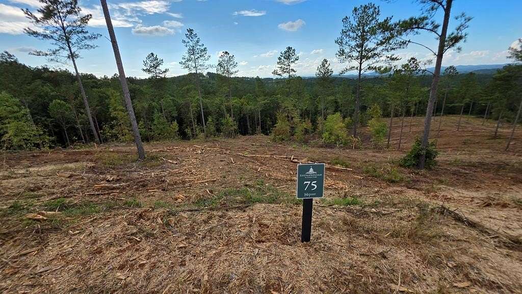 2.75 Acres of Land for Sale in Ellijay, Georgia