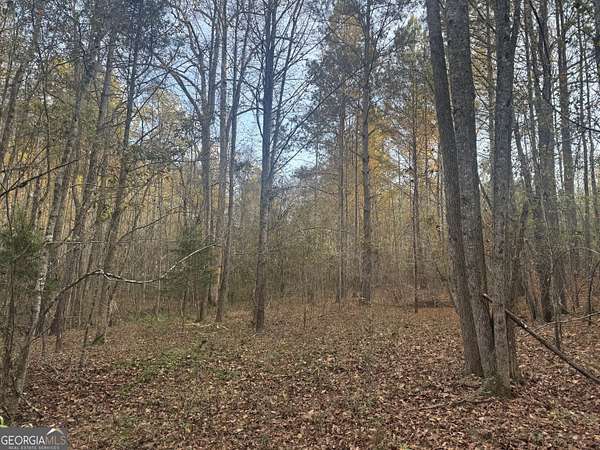 5.43 Acres of Residential Land for Sale in Franklin, Georgia