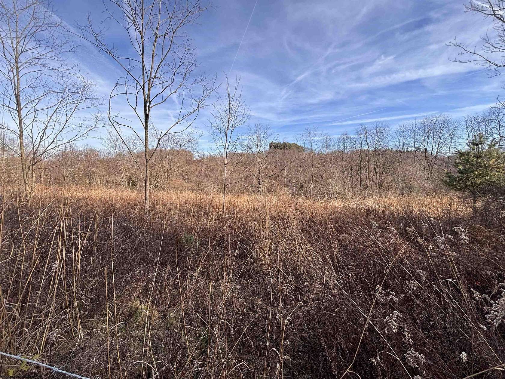 20 Acres of Agricultural & Residential Land for Sale in Philippi, West Virginia
