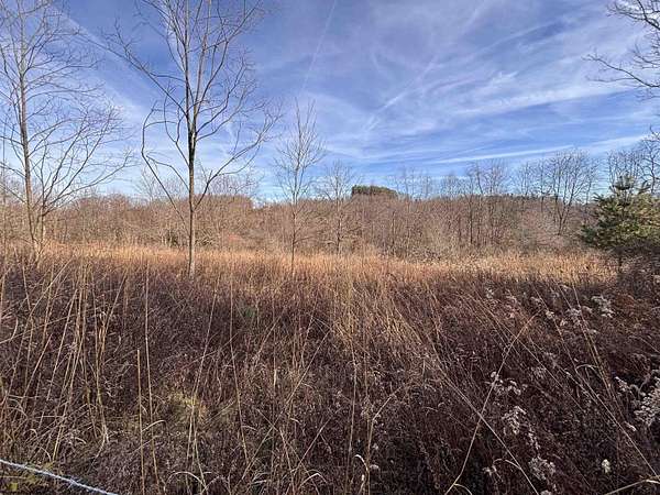 20 Acres of Agricultural & Residential Land for Sale in Philippi, West Virginia