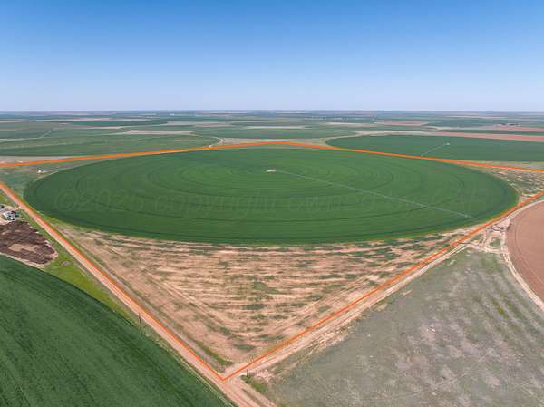 516 Acres of Agricultural Land for Sale in Hart, Texas