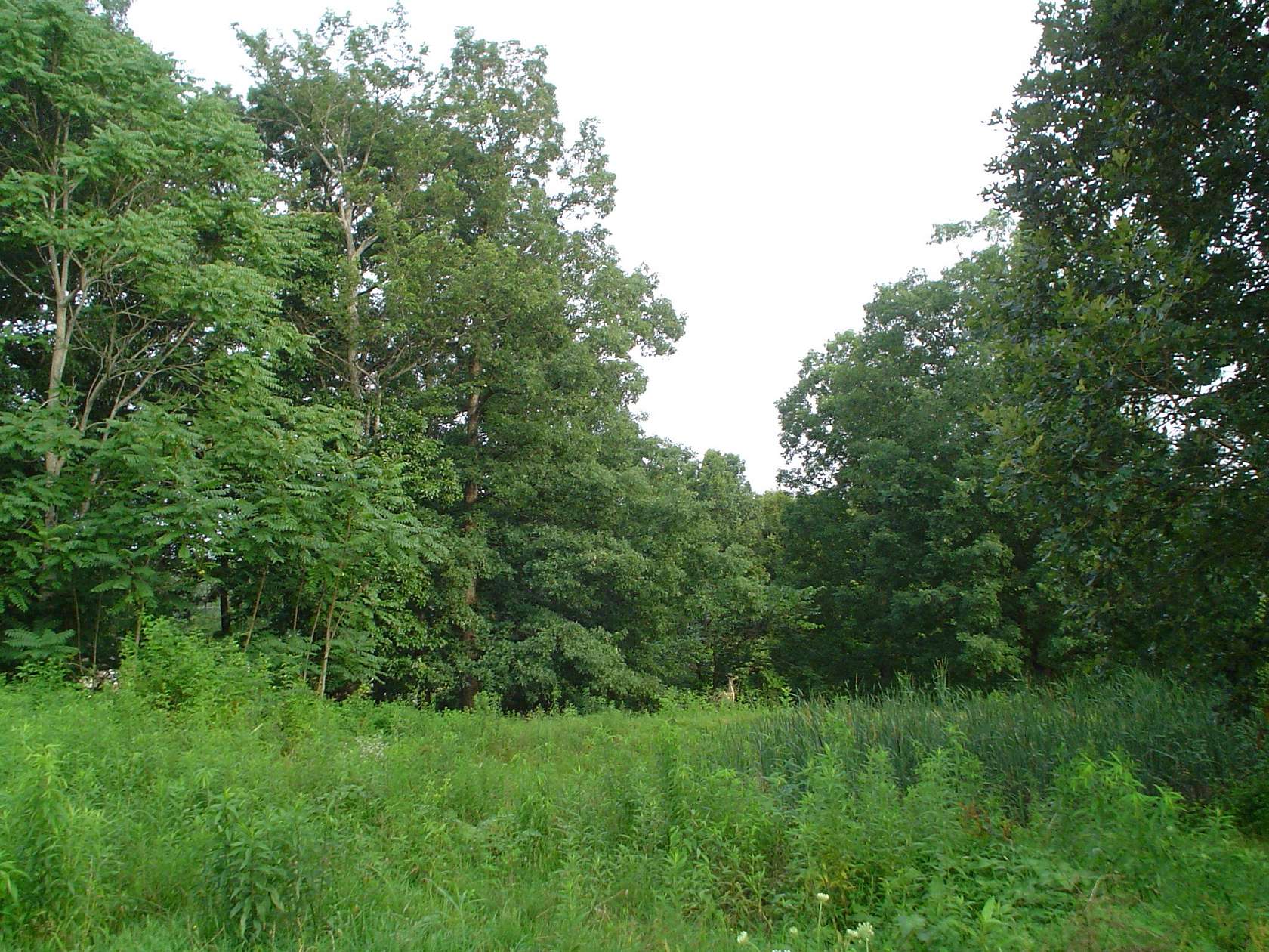 15.3 Acres of Agricultural Land for Sale in Westmoreland, Tennessee