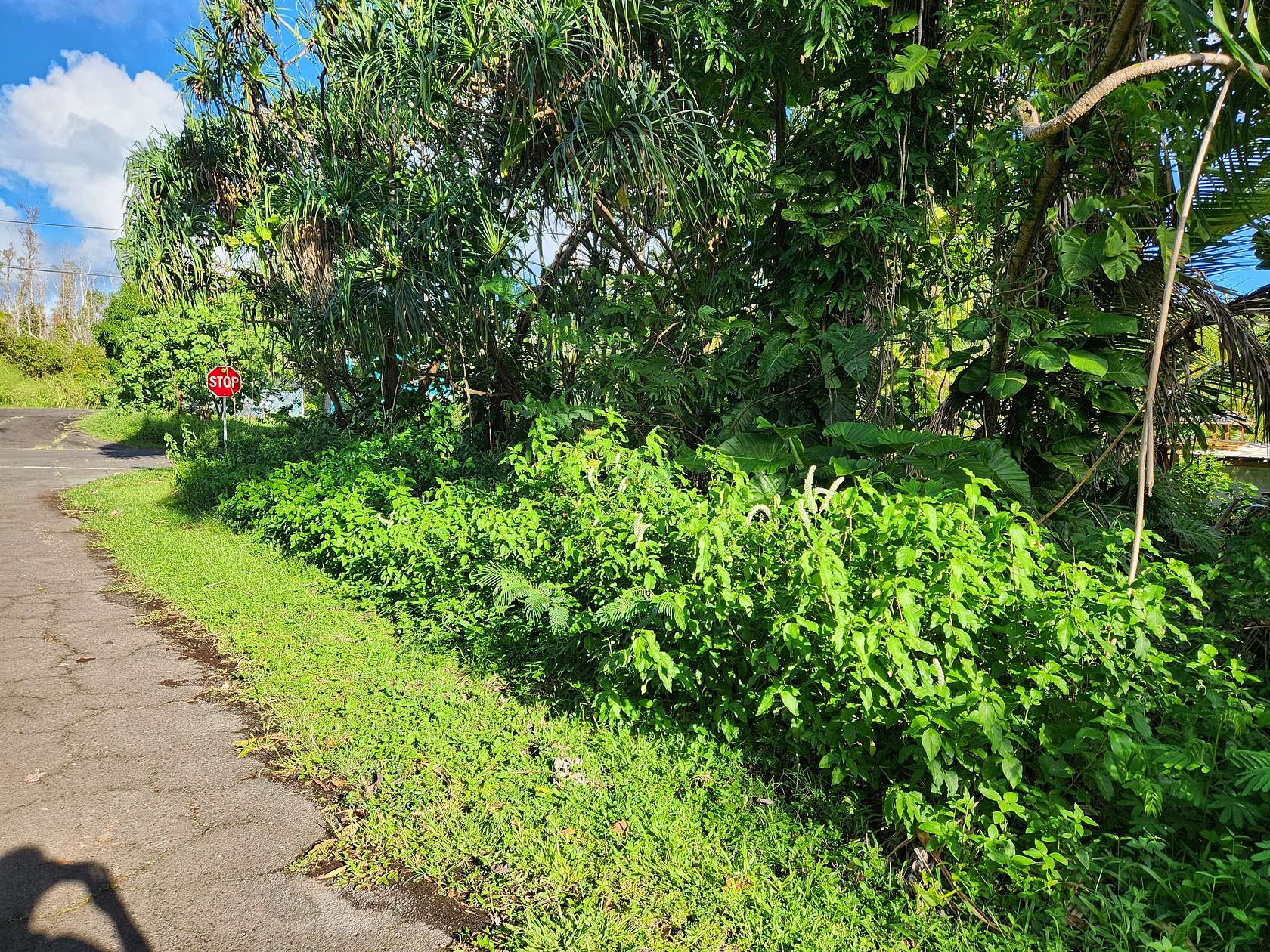 0.18 Acres of Land for Sale in Pahoa, Hawaii