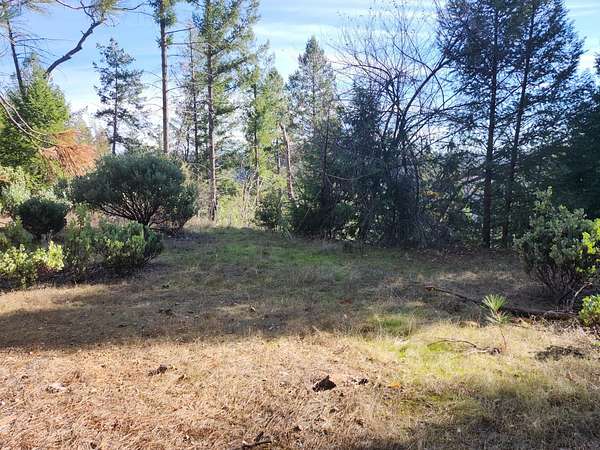 8 Acres of Residential Land for Sale in Rail Road Flat, California