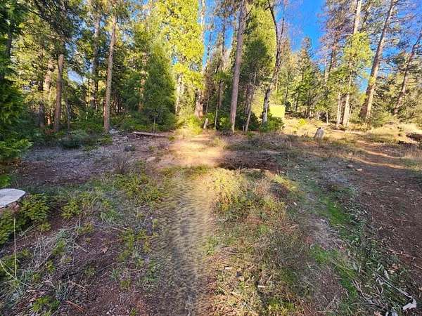 0.53 Acres of Residential Land for Sale in West Point, California