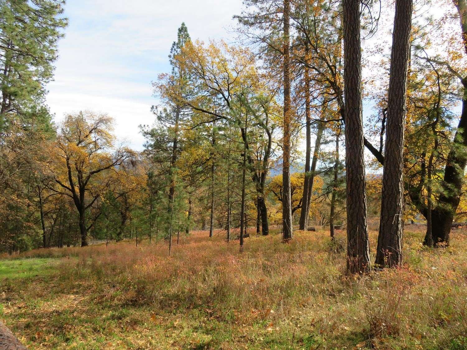 2 Acres of Residential Land for Sale in West Point, California