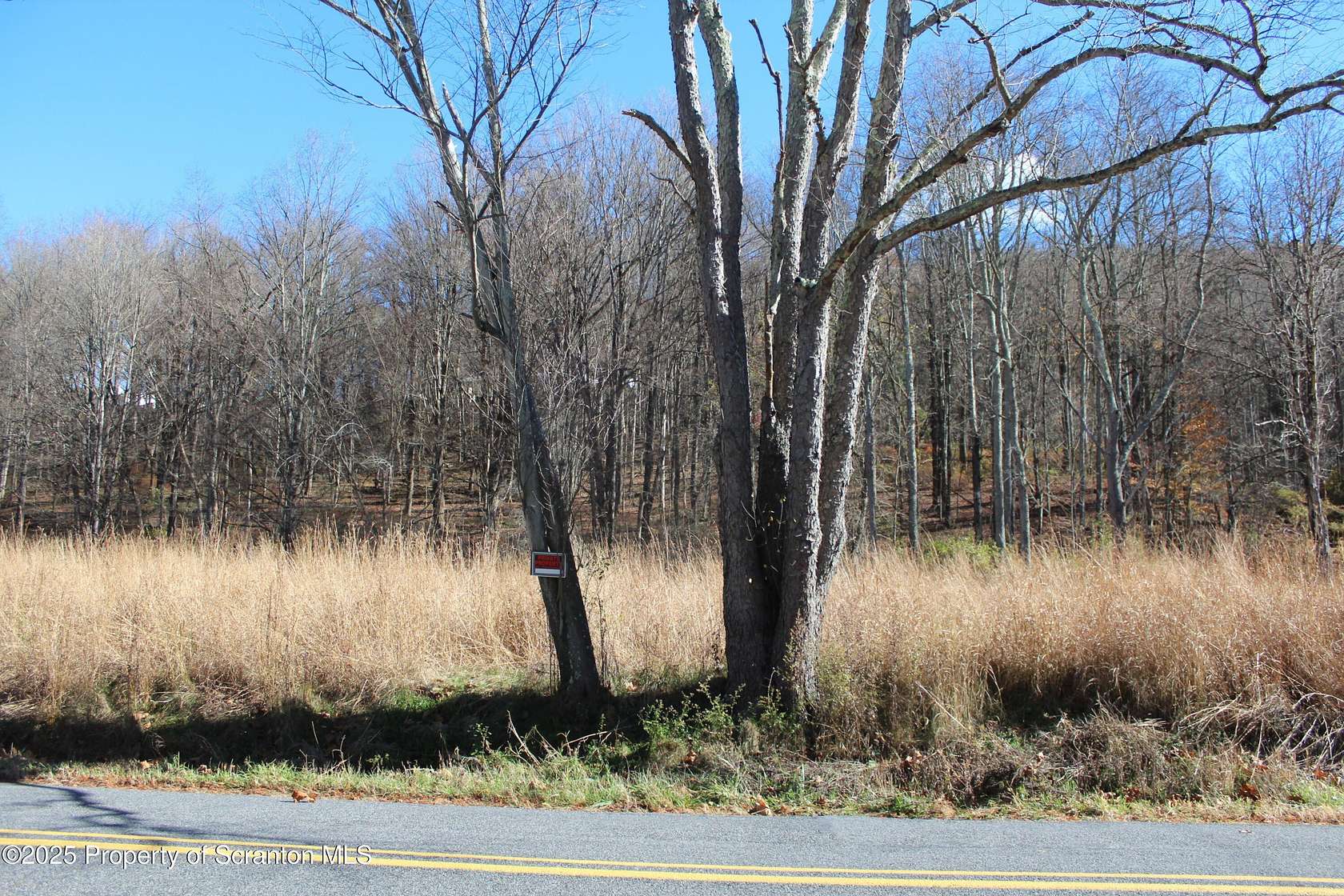 34.5 Acres of Land for Sale in Nicholson, Pennsylvania
