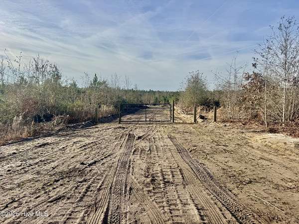 88.2 Acres of Recreational Land for Sale in White Oak, North Carolina