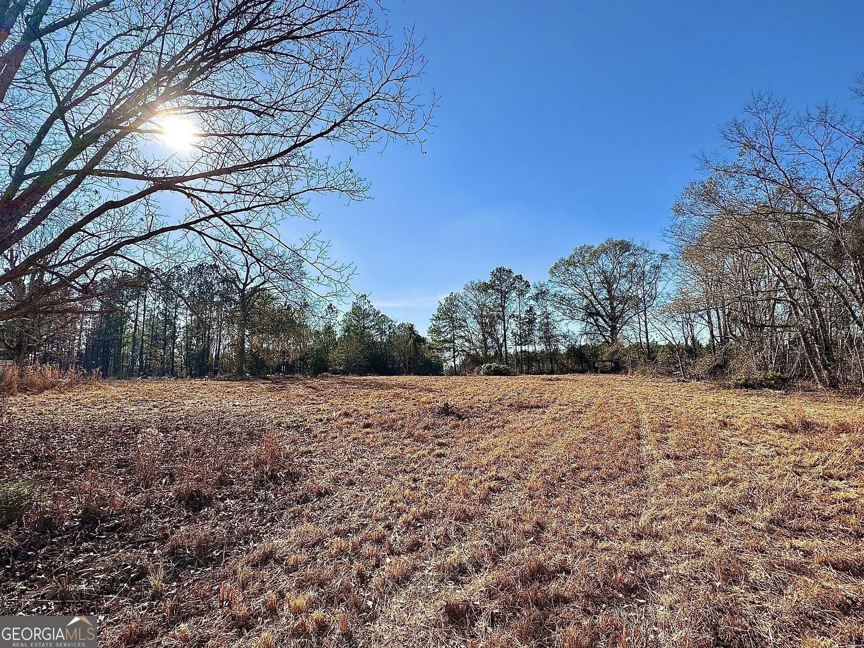12 Acres of Land for Sale in Adrian, Georgia