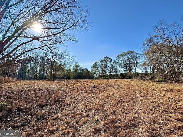 12 Acres of Land for Sale in Adrian, Georgia
