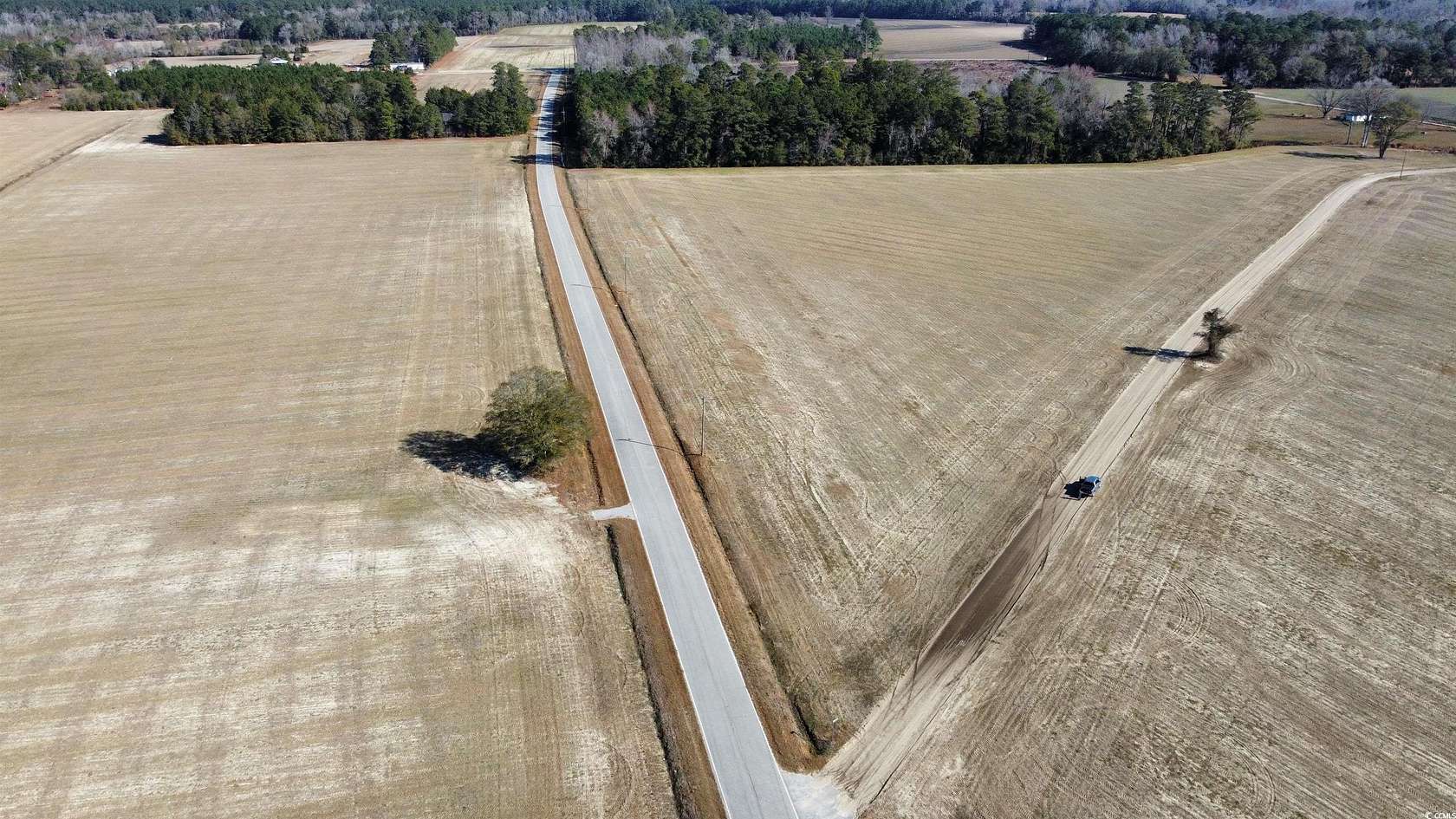 15.3 Acres of Land for Sale in Nichols, South Carolina