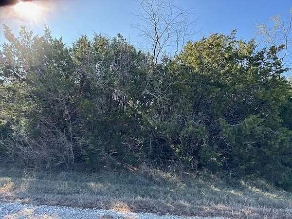 0.26 Acres of Residential Land for Sale in Whitney, Texas