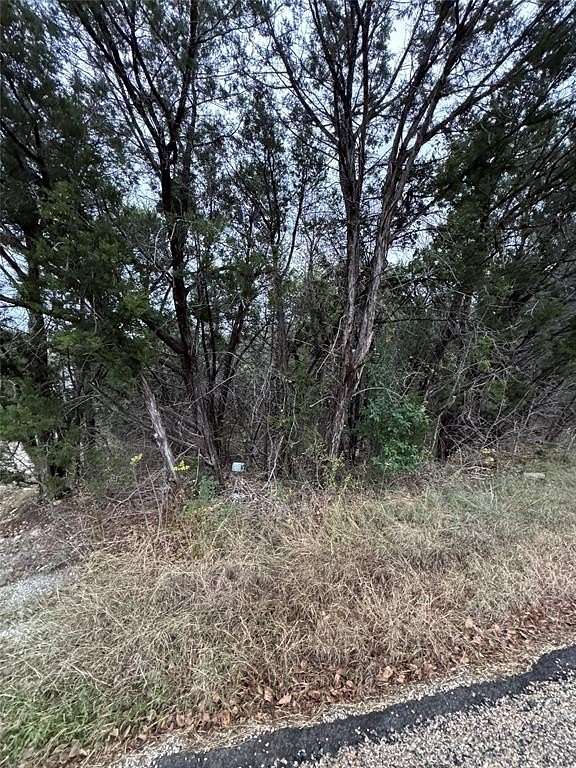 0.24 Acres of Residential Land for Sale in Granbury, Texas