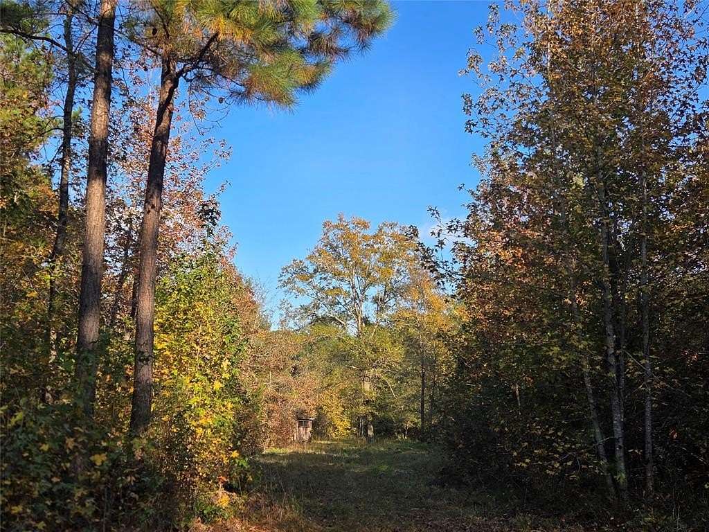 7 Acres of Residential Land for Sale in Clarksville, Texas