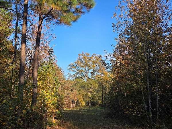 7 Acres of Residential Land for Sale in Clarksville, Texas