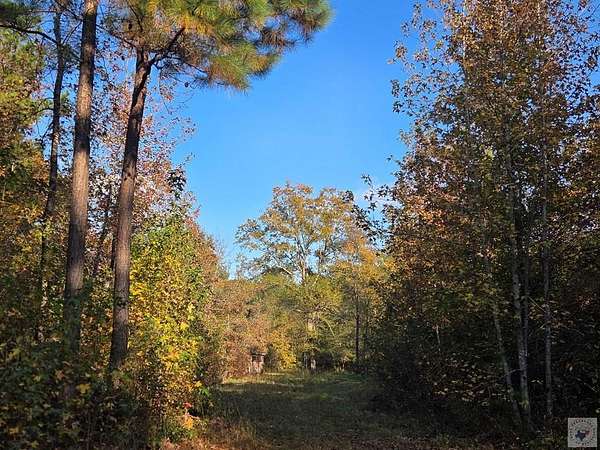 7 Acres of Residential Land for Sale in Clarksville, Texas