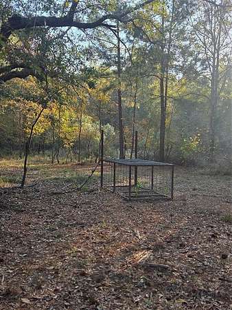 10 Acres of Recreational Land for Sale in Clarksville, Texas