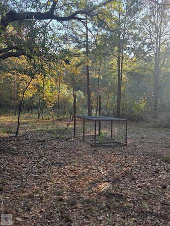 10 Acres of Recreational & Residential Land for Sale in Clarksville, Texas