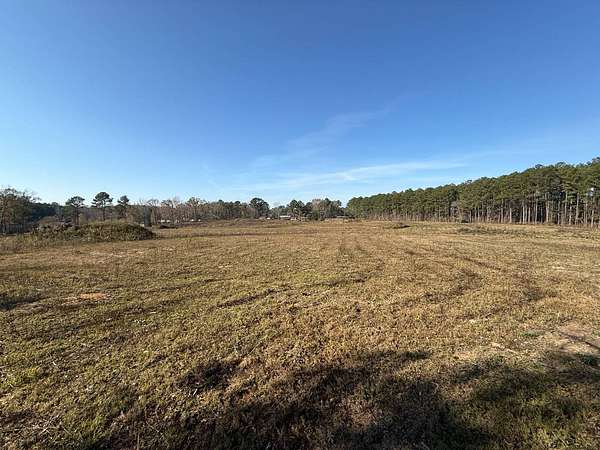19.4 Acres of Land for Sale in Louisville, Mississippi