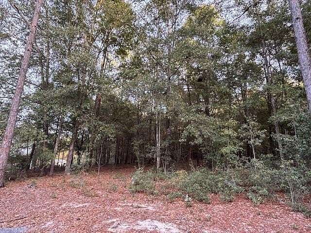 1 Acre of Residential Land for Sale in Bainbridge, Georgia