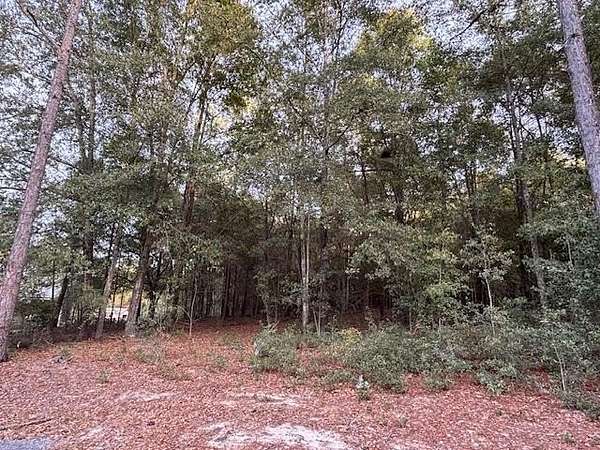 1 Acre of Residential Land for Sale in Bainbridge, Georgia