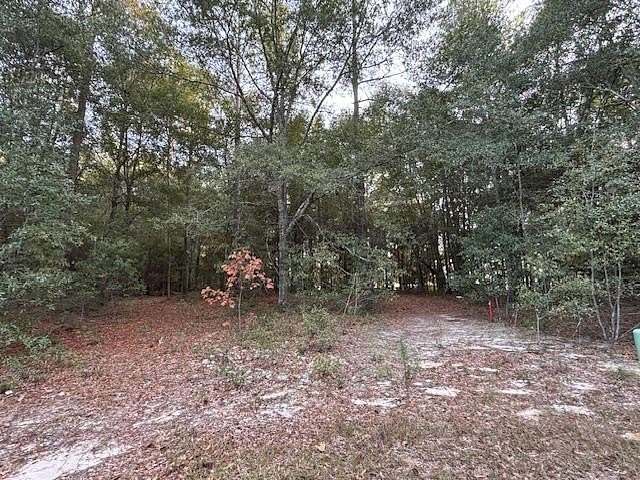 1 Acre of Residential Land for Sale in Bainbridge, Georgia
