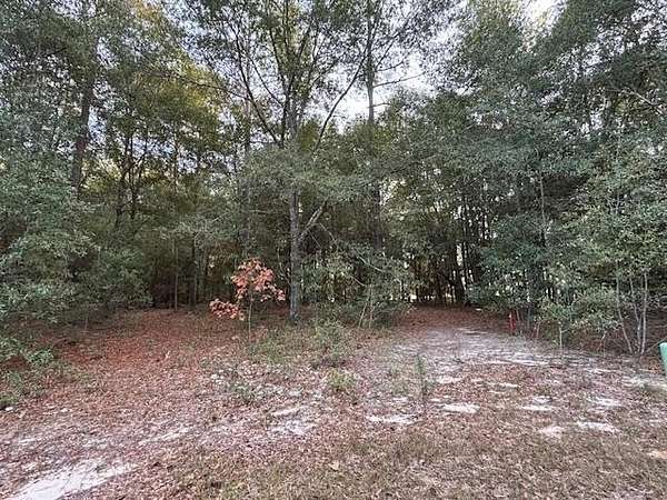 1 Acre of Residential Land for Sale in Bainbridge, Georgia