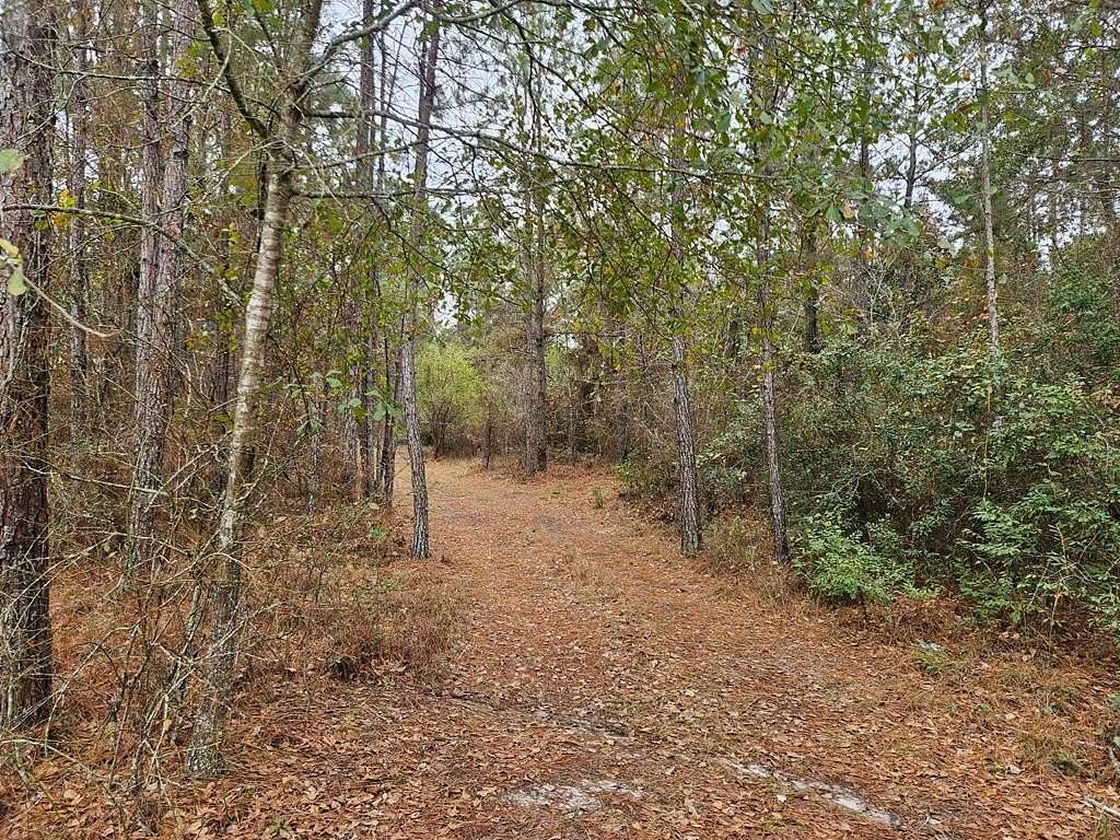 50 Acres of Recreational Land for Sale in Ray City, Georgia