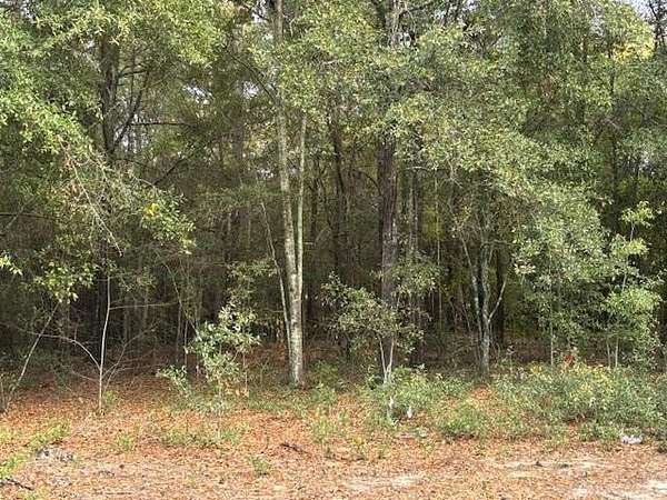 1 Acre of Residential Land for Sale in Bainbridge, Georgia