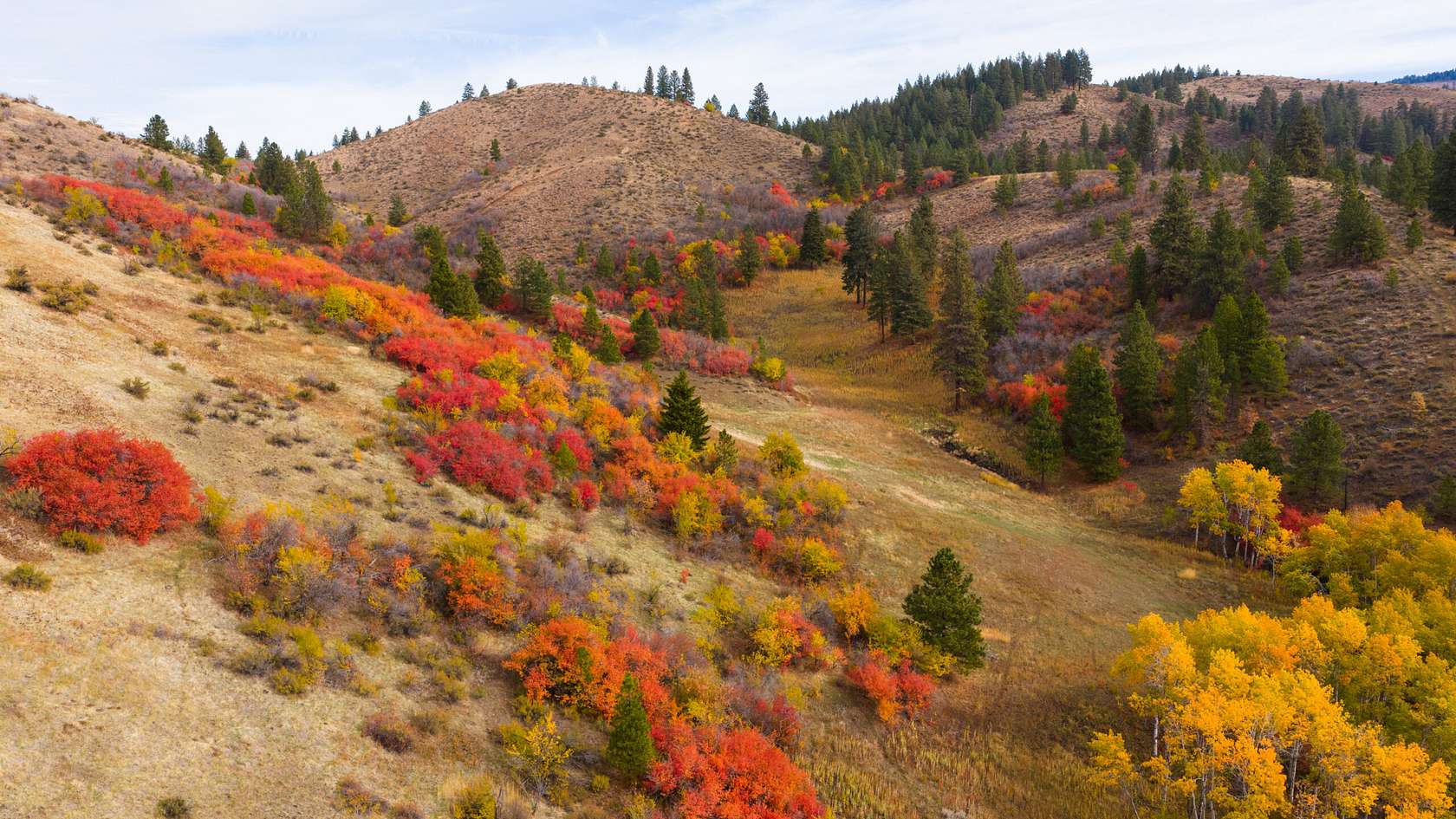 2,350 Acres of Recreational Land for Sale in Council, Idaho