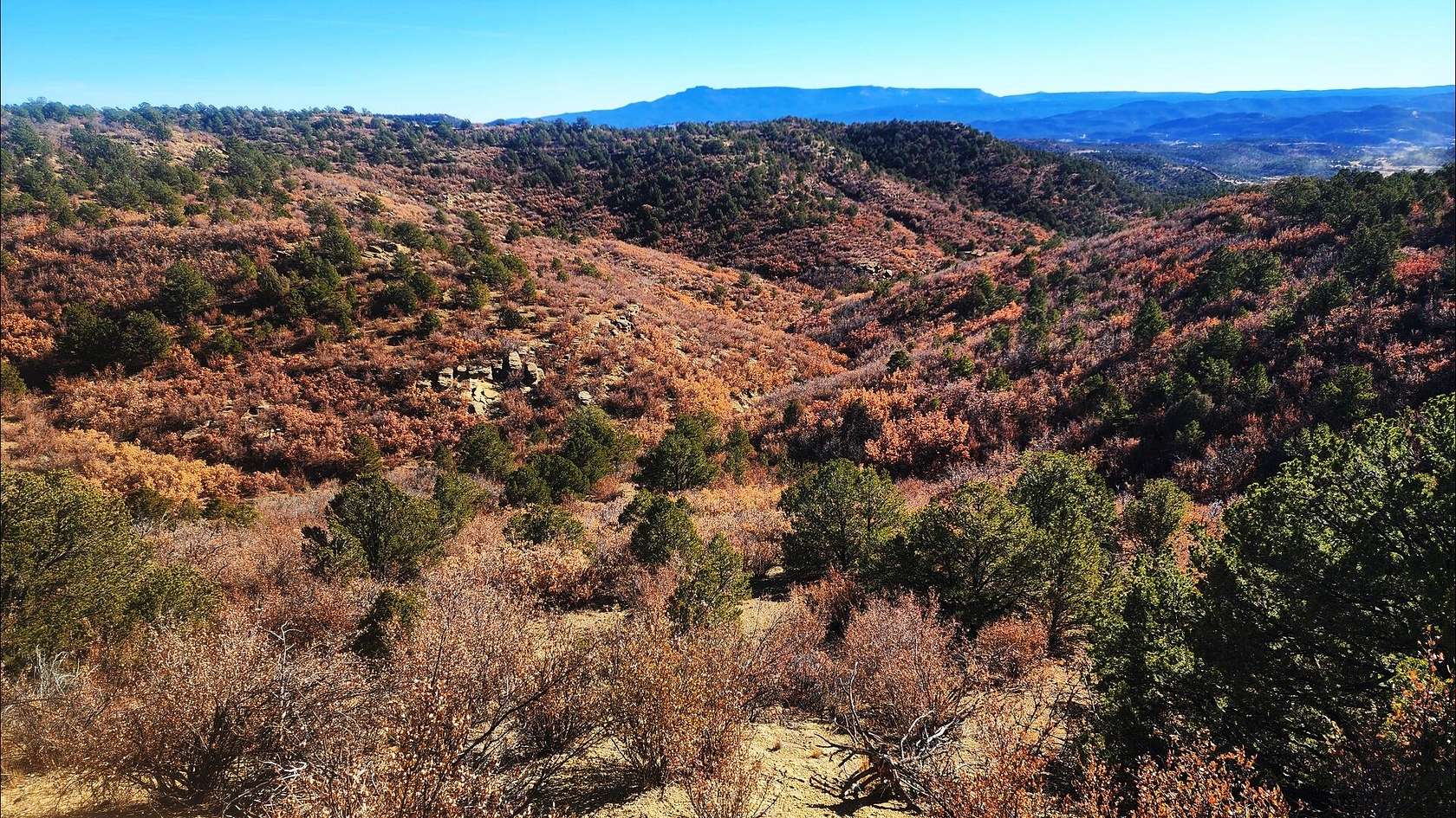 35 Acres of Land for Sale in Trinidad, Colorado