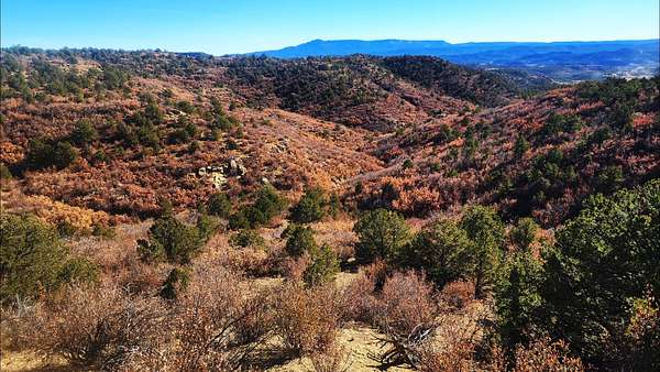 35 Acres of Land for Sale in Trinidad, Colorado