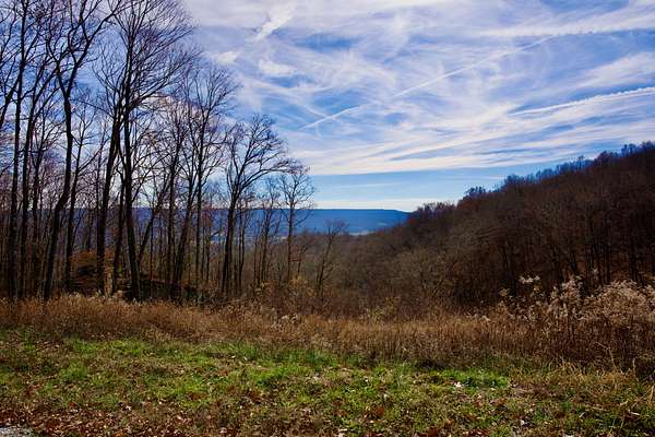 32 Acres of Recreational Land for Sale in Sparta, Tennessee