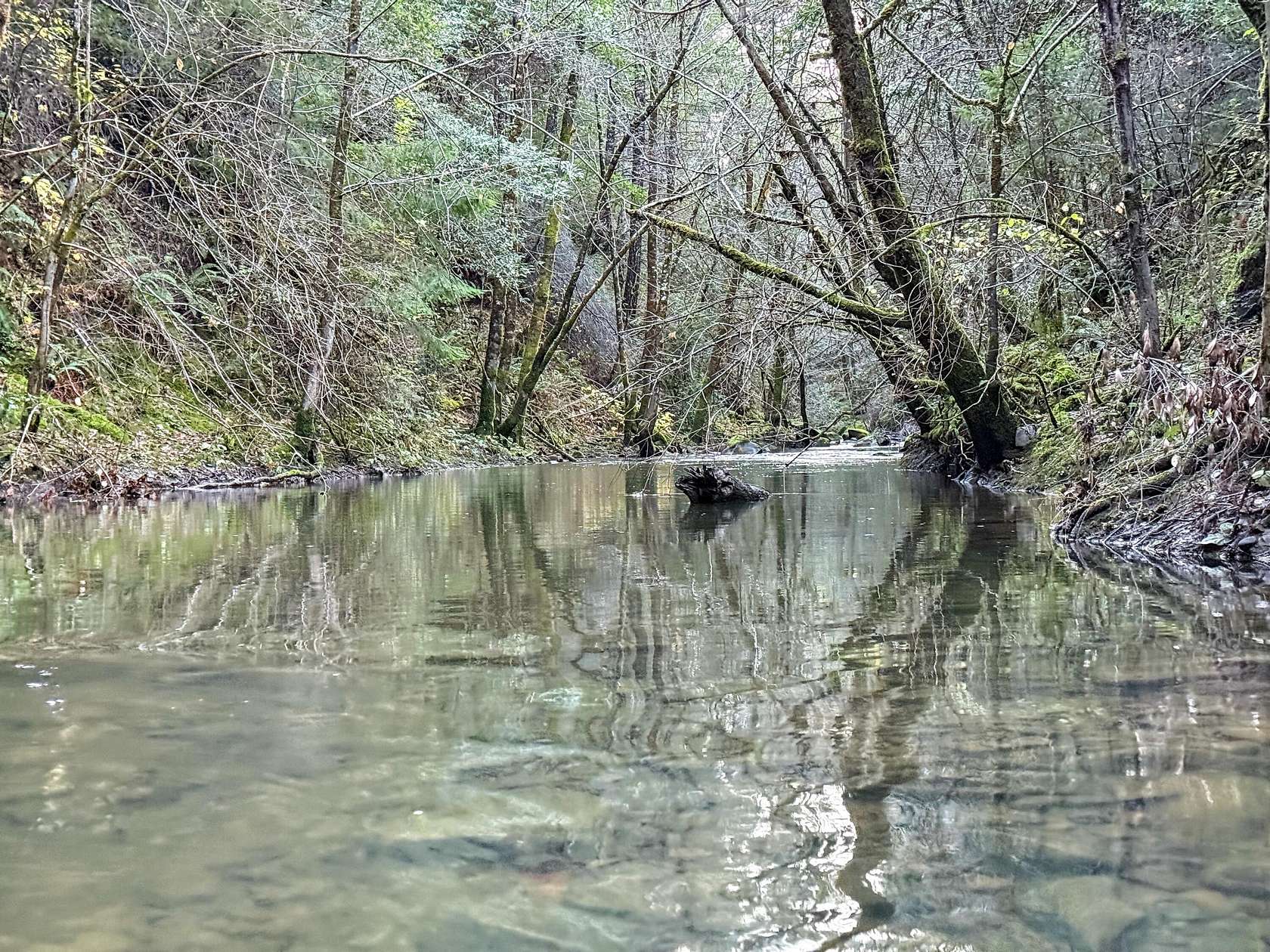 41.3 Acres of Recreational Land for Sale in Redway, California