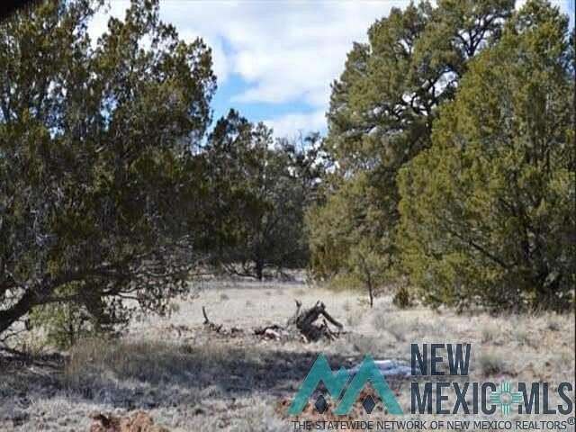 4.34 Acres of Residential Land for Sale in Ramah, New Mexico