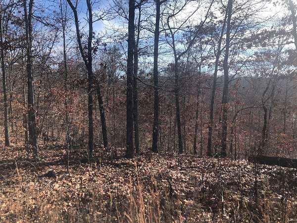 4 Acres of Land for Sale in Jadwin, Missouri