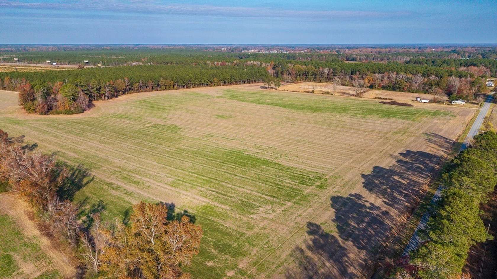 20.3 Acres of Recreational Land & Farm for Sale in Teachey, North Carolina