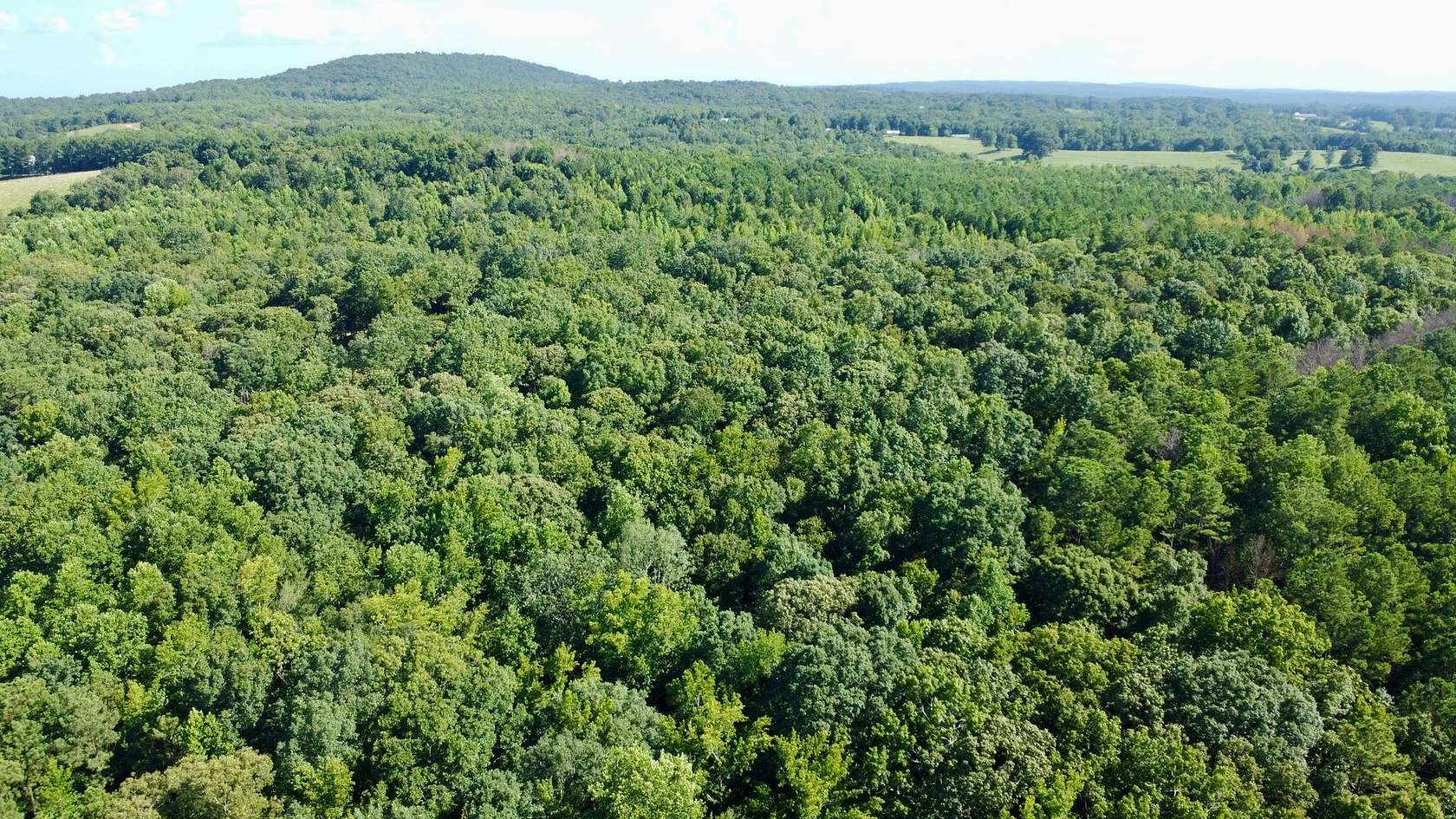 128 Acres of Land for Sale in Bowdon, Georgia