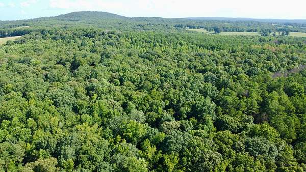 128 Acres of Land for Sale in Bowdon, Georgia